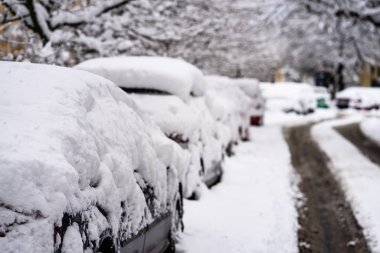 Cars covered with snow from the first snow fall of the year. Win