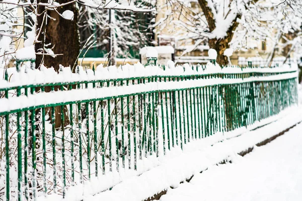 Green metallic fence with snow. Metal fence in winter covered wi