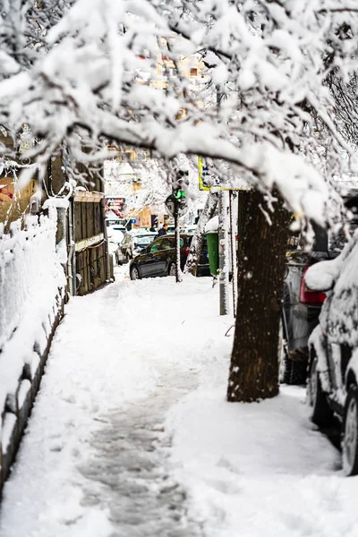Cesta vytvořená lidmi, kteří ráno kráčejí sněhem. Tati — Stock fotografie