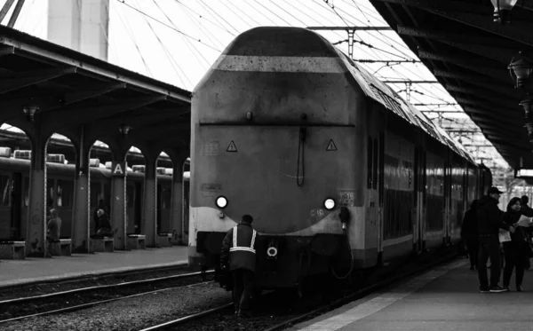 Detail train view. Train on the platform of Bucharest North Rail — 图库照片