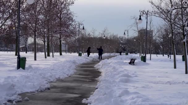 Menschen Schnee Izvor Park Von Bukarest Rumänien 2020 — Stockvideo