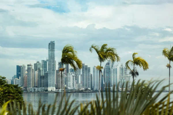 Palmeras y vista panorámica de rascacielos del centro de Panamá en Panam —  Fotos de Stock