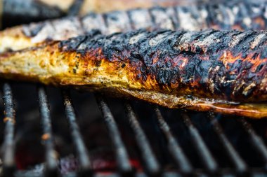 Izgara balık ve mangal kömürü. Izgaradaki balığı kapat.