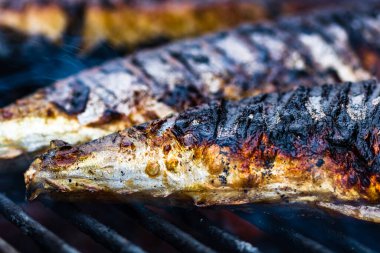 Izgara balık ve mangal kömürü. Izgaradaki balığı kapat.