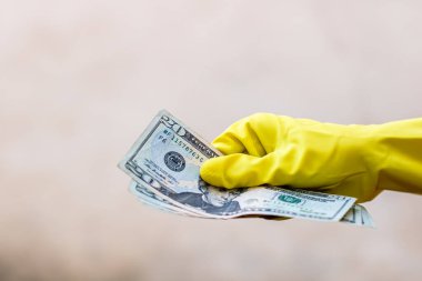 Dünya para kavramı, eldiven alma, 20 dolarlık banknot verme ya da tutma, bulanık arka planda izole edilmiş. Corona virüsü COVID-19 salgını. Virüsün yayılmasını önleme kavramı