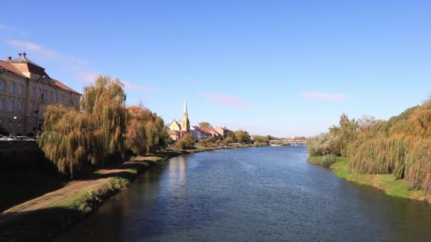 Filmaufnahmen Vom Fluss Timis Blick Von Der Alten Eisernen Brücke — Stockvideo