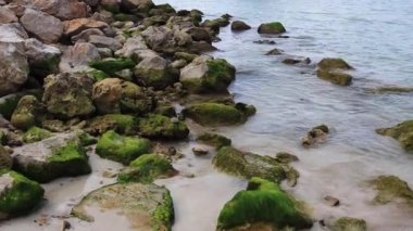 Sakin ve küçük dalgalar Labadee Adası, Haiti 'deki kayalara çarpıyor..