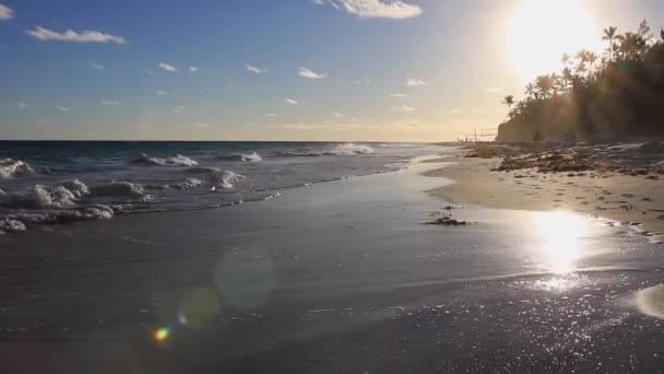 美丽的阳光笼罩着海滩 在百慕大 汉密尔顿 马蹄湾飘扬 — 图库视频影像