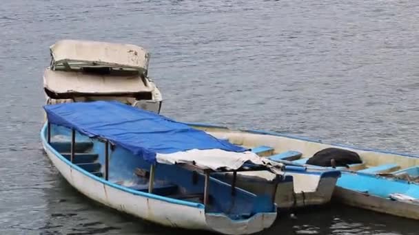 Velhos Barcos Pesca Vazios Flutuando Golfito Costa Rica — Vídeo de Stock