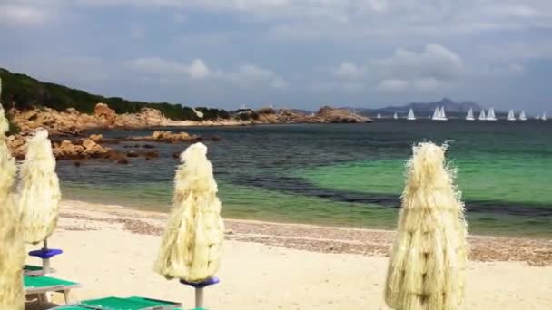 イタリアのビーチ 閉鎖した傘とサンチェア付きの空のビーチ — ストック動画