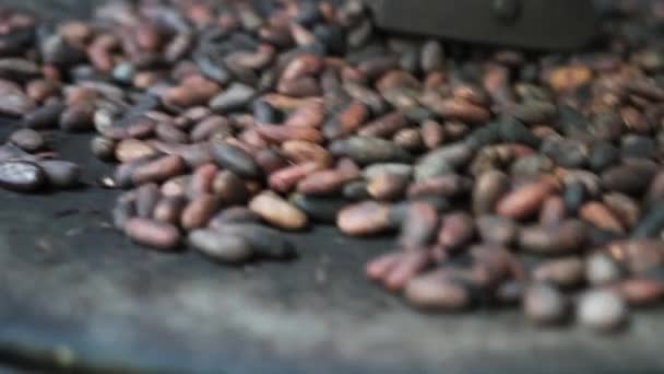 Shallow Focus Cocoa Beans Traditionally Roasting Salvador — Stock Video