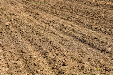 Bahar mevsiminde, bir köydeki tarlanın yeni sürülmüş toprağı..