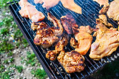 Kömür mangalında ızgara tavuk ve domuz eti. Kamp manzarası, lezzetli barbekü, yemek konsepti, ızgaradaki yemek ve ızgaradaki yemeğin ayrıntıları.