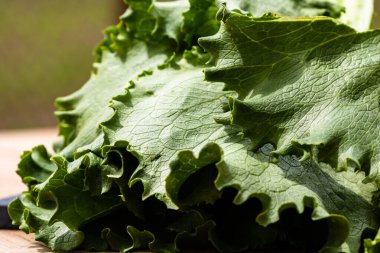 Tahta bir masanın üzerindeki taze yeşil marulun detaylarını kapat..