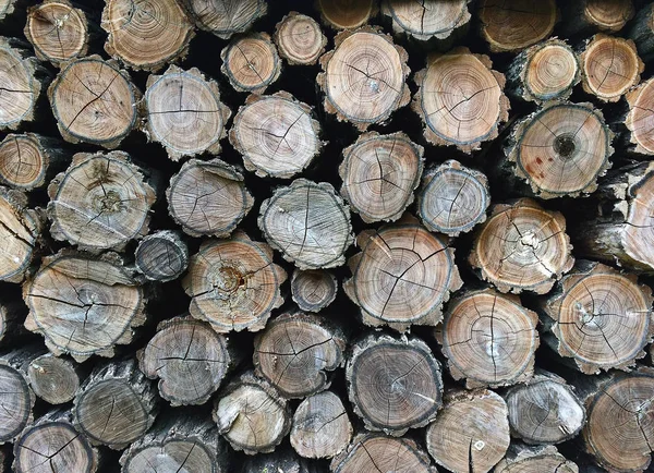 Katlanmış yakacak odun yığını