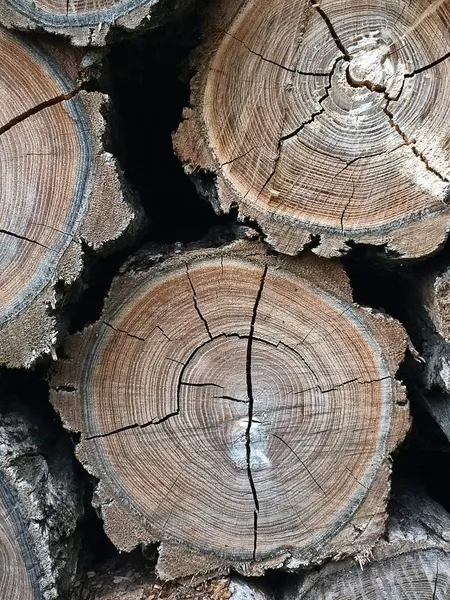 Katlanmış yakacak odun yığını