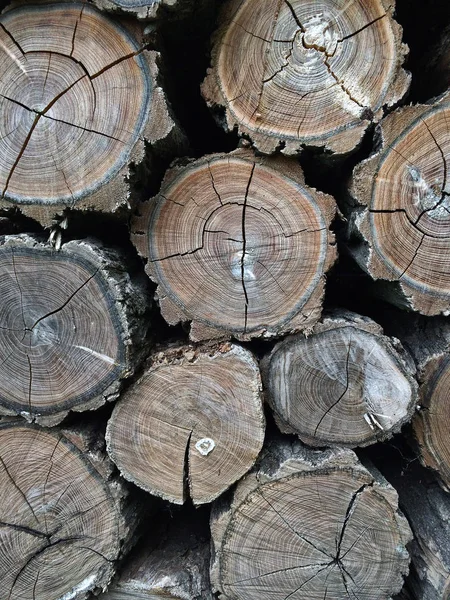 Katlanmış yakacak odun yığını