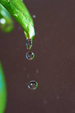 bir damla yağmur makro atış ucunda donmuş temiz su