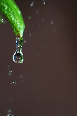bir damla yağmur makro atış ucunda donmuş temiz su