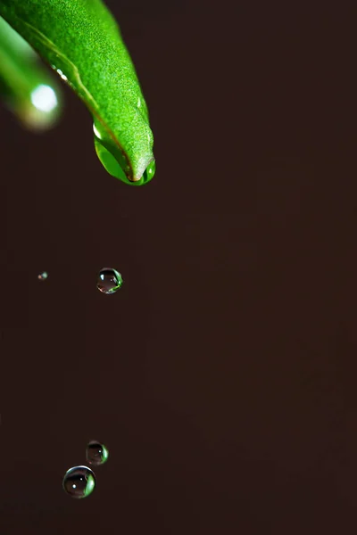 Крапля Прозорої Води Замороженої Кінчику Листя Трави Готової Скидання Крупним — стокове фото