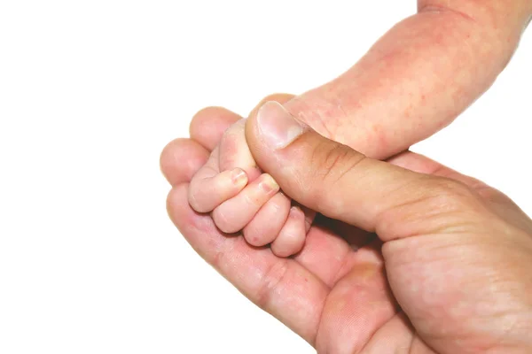 Mão Bebê Recém Nascido Mão Jovem Pai Fundo Branco Isolado — Fotografia de Stock