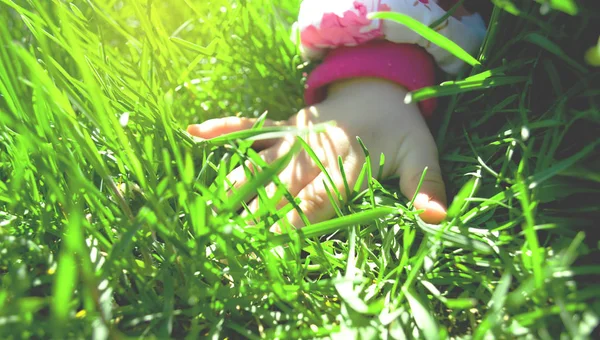 Mano Niño Pequeño Sobre Fondo Hierba Verde Jugosa Brillante Iluminada — Foto de Stock