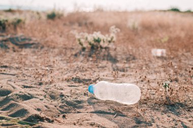 Plastik şişeler plajda ziyan oluyor. Dünya kirliliği kavramı.