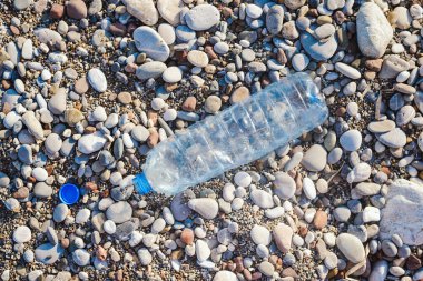 Plastik şişeler plajdaki çöpler. Dünya kirliliği kavramı.