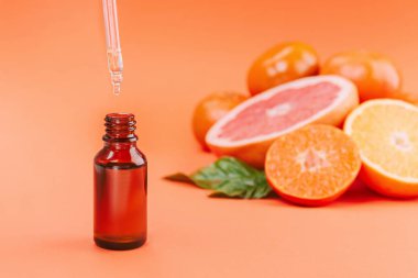 Taze mandalina, greyfurt ve yeşil yapraklı portakal ve turuncu arka planda gerekli yağı içeren cam şişe..