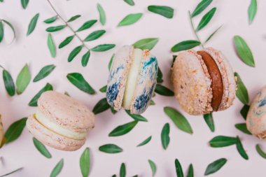 Pastel bej arka planda yeşil yapraklı çeşitli badem kurabiyeleri. Yaratıcı ve karamsar bir tablo. Üst manzara, düz uzanma.