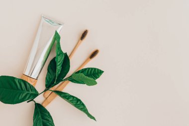 Bambu doğal diş fırçaları, diş macunu ve soluk arkaplanda taze yapraklar. Sıfır atık ve plastiksiz konsept. Sürdürülebilir yaşam tarzı kavramı.