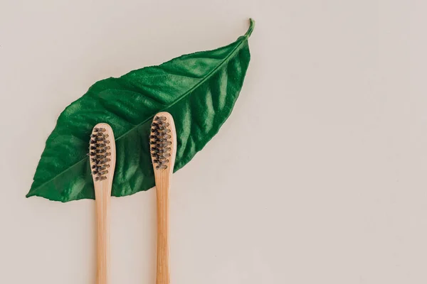 Cepillos Dientes Naturales Bambú Hojas Frescas Sobre Fondo Pálido Cero — Foto de Stock