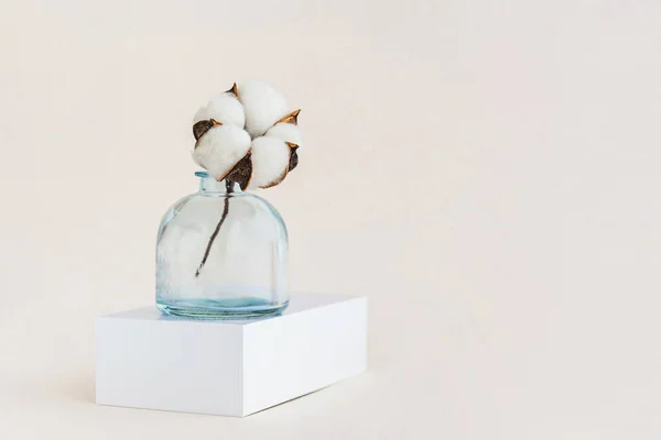 Beautiful White Cotton Flower Blue Vase Copy Space Minimal Monochrome lizenzfreie Stockfotos