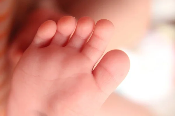 Nahaufnahme Neugeborener Babyfüße — Stockfoto
