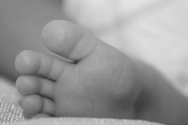Nahaufnahme Neugeborener Babyfüße Schwarz Weiß — Stockfoto