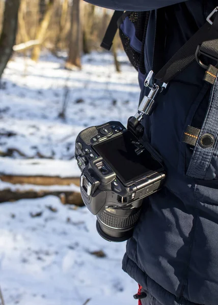 Fotógrafo natural na floresta de inverno com câmera reflexa de perto — Fotografia de Stock