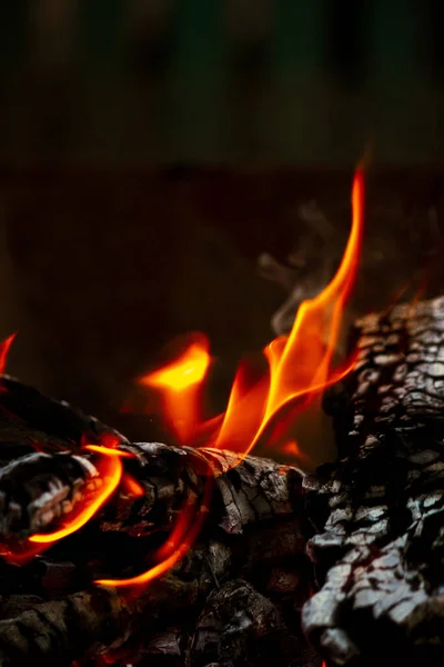 Feu de joie avec des branches la nuit gros plan. langues de feu. charbon de bois. feu de nuit — Photo