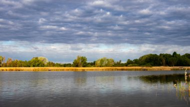 Sarı kamışlarla kaplanmış büyük gölü olan güzel bir manzara. Bulutlu bir günde. Bir bahar gününde ağır mavi bulutlar..