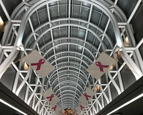 Ekim 2019 'da Chicago O' Hare Uluslararası Havaalanı 'ndaki büyük salonda göğüs kanseri farkındalığı bayraklarına bakıyorum..