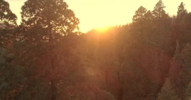 Uçuş üzerinde Sequoia National Park. Güneş doğuyor. Gün batımı. Üç ilk video. 4 k. Kasım 2017