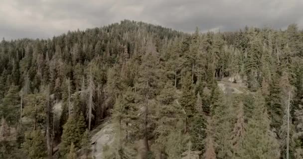 Vuelo sobre el Parque Nacional Sequoia. Amanecer. Puesta de sol. Drone. 4K. Nov 2017 — Vídeos de Stock