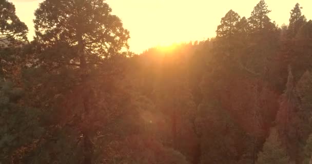 Voo sobre o Parque Nacional Sequoia. Nascer do sol. Pôr do sol. O primeiro vídeo de três. 4K. Nov 2017 — Vídeo de Stock