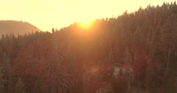 Vlucht over het Sequoia National Park. Sunrise. Zonsondergang. De tweede video is van drie. 4 k. november 2017 — Stockvideo