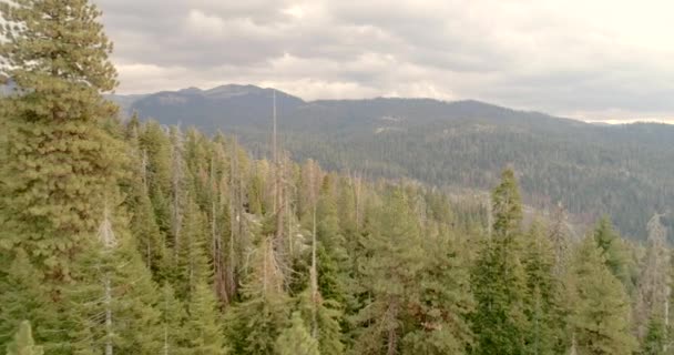 Voo sobre o Parque Nacional Sequoia. Nascer do sol. Pôr do sol. O segundo vídeo é de dois. Um drone. 4K. Nov 2017 — Vídeo de Stock