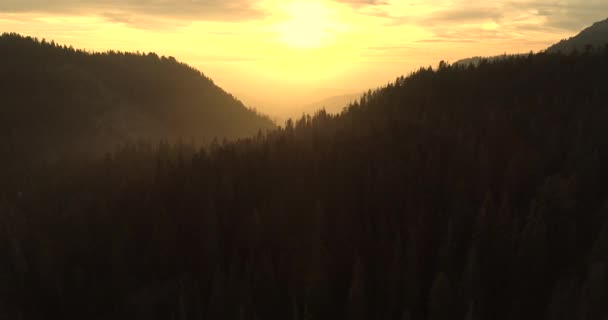 Flug über den Mammutbaum-Nationalpark. Sonnenaufgang. Sonnenuntergang. Das zweite Video ist von zwei. 4k. November 2017 — Stockvideo