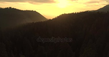 Sequoia National Park. Güneş doğuyor. Gün batımı. İki ilk video. Aerian dron. 4 k. Kasım 2017