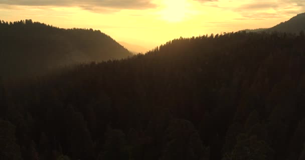 Parco nazionale di Sequoia. All'alba. Tramonto. Il primo video dei due. Drone aereo. 4K. Nov. 2017 — Video Stock