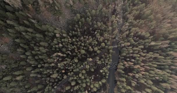 Parque Nacional Sequoia. Amanecer. Puesta de sol. Dron aéreo. 4K. Nov 2017 — Vídeos de Stock