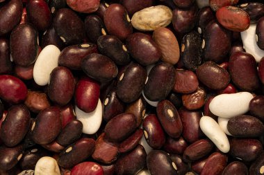 fasulye koyu renk üst görünüm yakın çekim