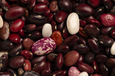 fasulye koyu renk üst görünüm yakın çekim